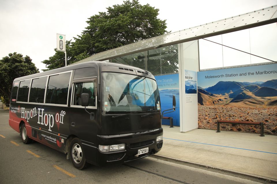 Marlborough: Hop On Hop Off Wine, Brewery, and Wonders Tour - Starting Points