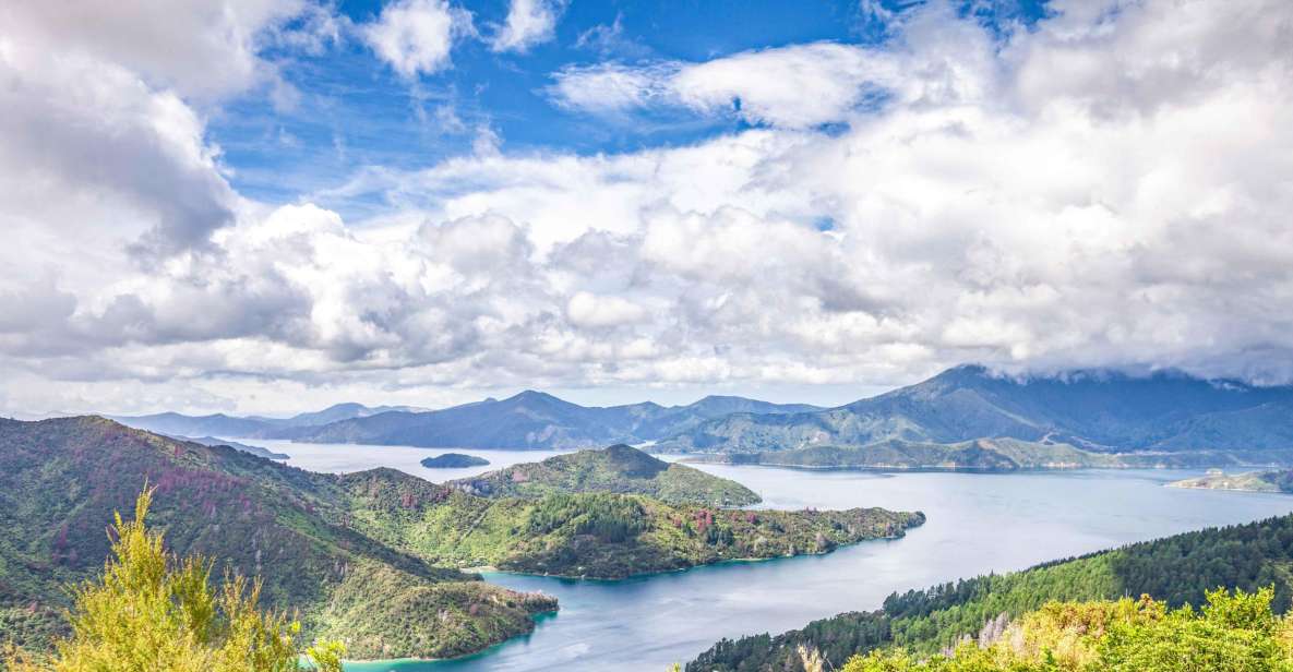 Marlborough Sounds and Ship Cove Cruise From Picton - Marine Life and Cancellation Policy