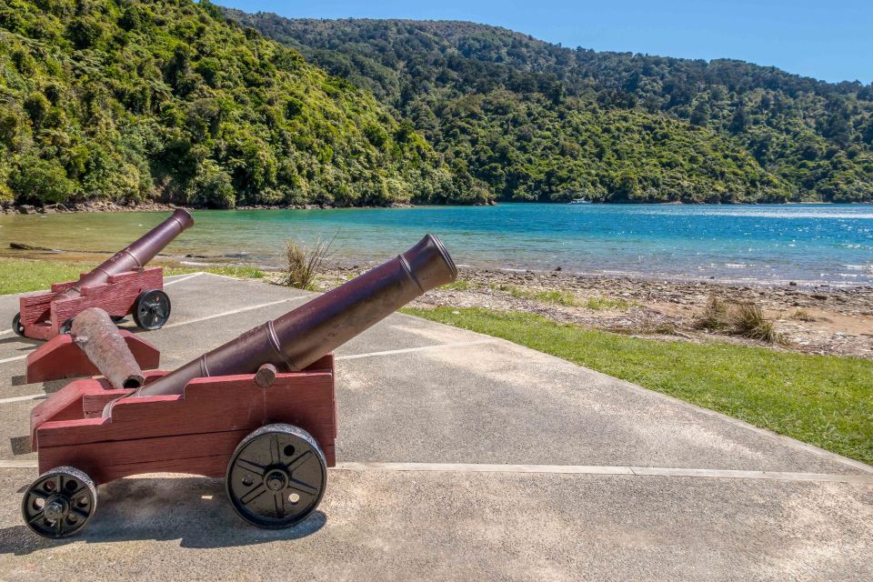 Marlborough Sounds and Ship Cove Cruise From Picton - Meeting Point and What to Bring