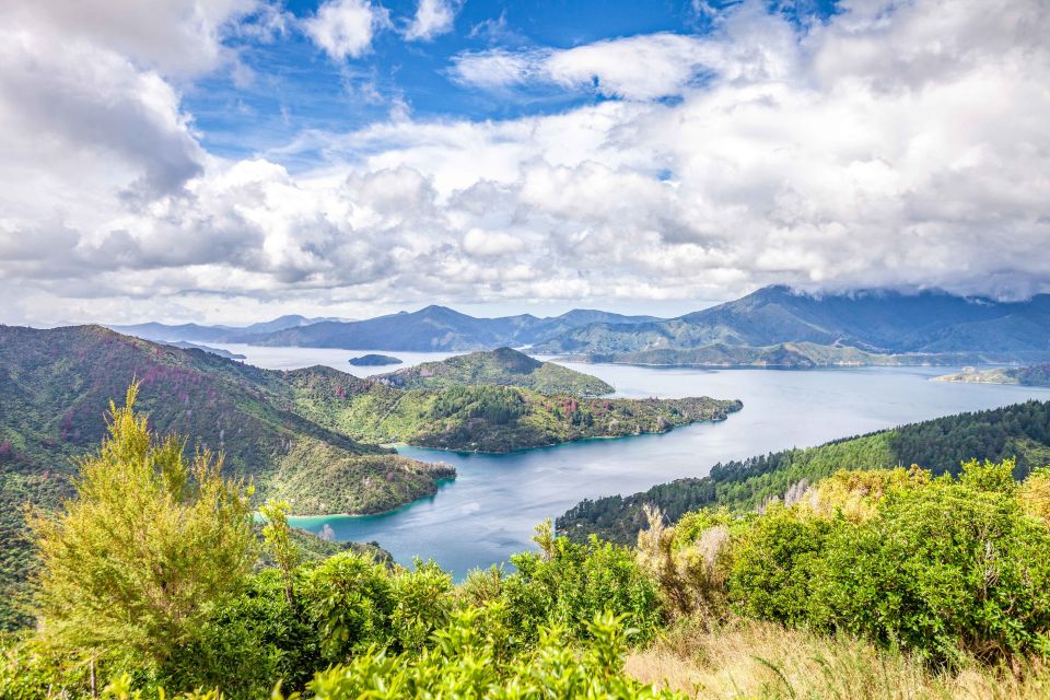 Marlborough Sounds and Ship Cove Cruise From Picton - Customer Reviews and Recommendations