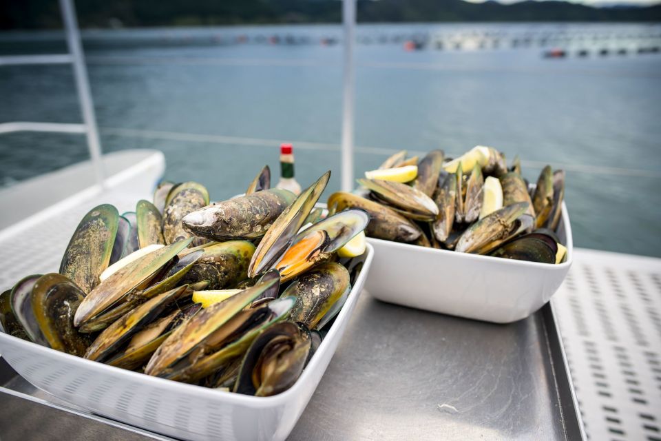 Marlborough Sounds: Greenshell Mussel Cruise - Key Points