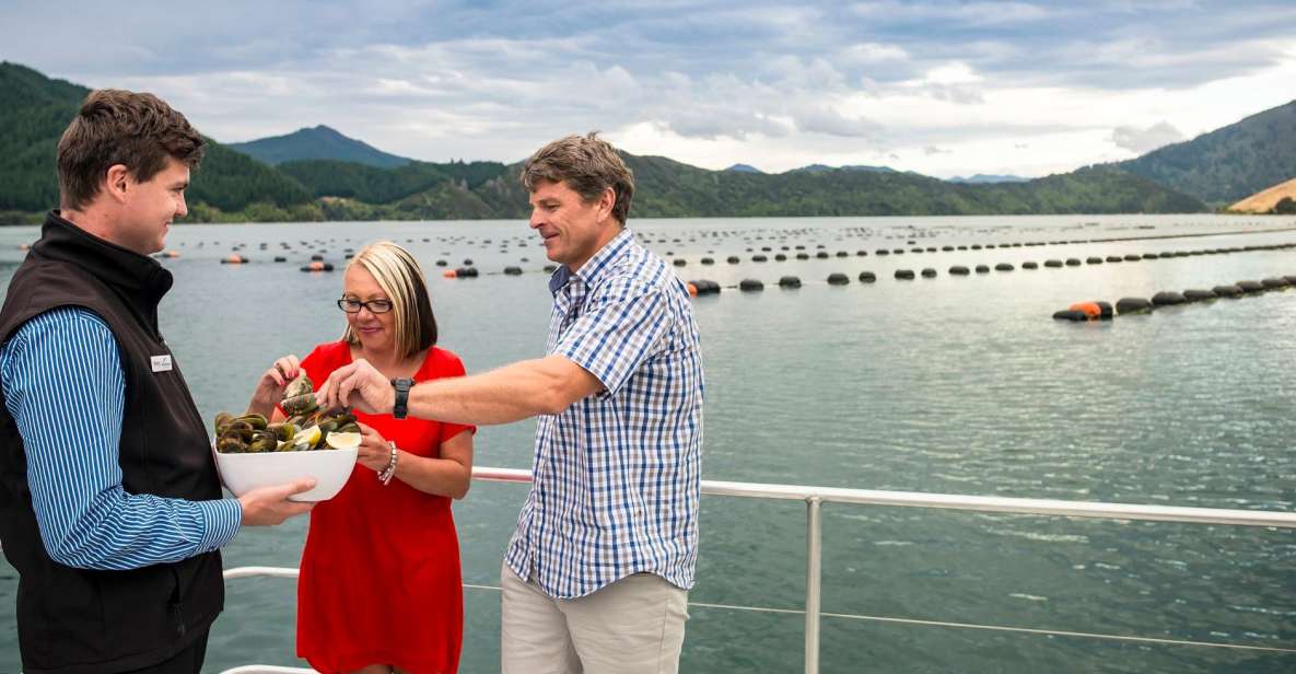 Marlborough Sounds: Greenshell Mussel Cruise - Experience Description