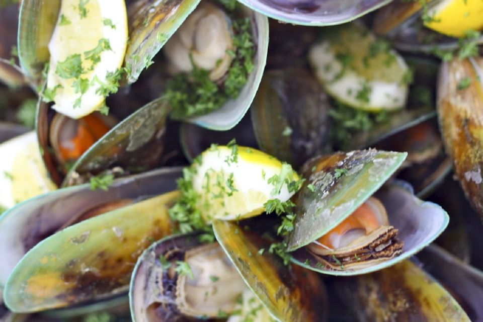 Marlborough Sounds: Greenshell Mussel Cruise - Accessibility and Language