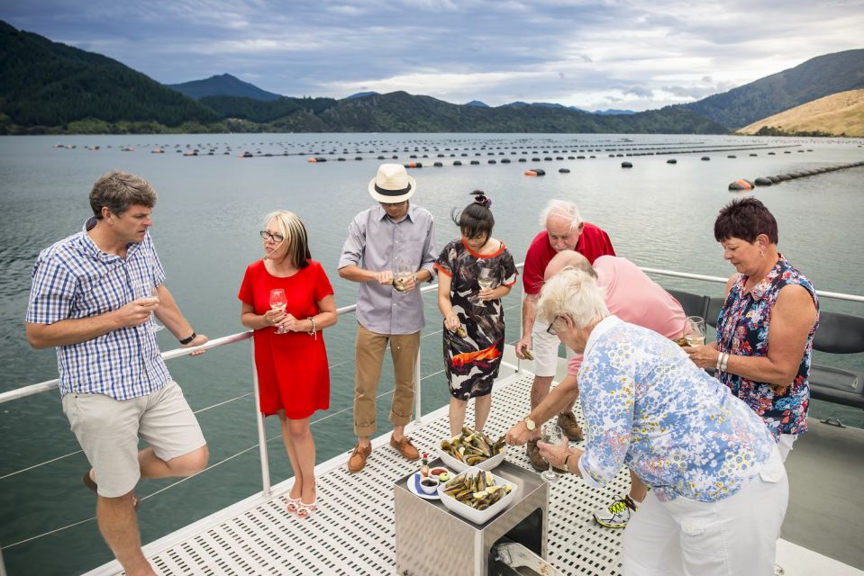 Marlborough Sounds: Greenshell Mussel Cruise - Meeting Point and Requirements