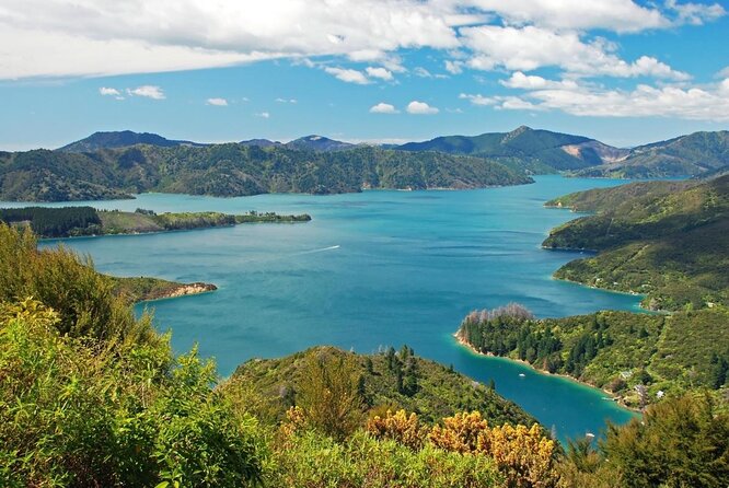 Marlborough Sounds Greenshell Mussel Tasting Cruise - Cruise Itinerary
