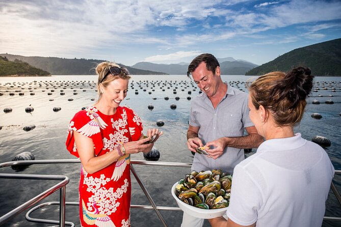 Marlborough Sounds Greenshell Mussel Tasting Cruise - Scenic Highlights