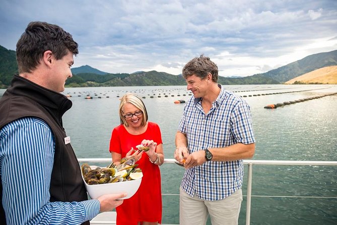 Marlborough Sounds Greenshell Mussel Tasting Cruise - Traveler Insights
