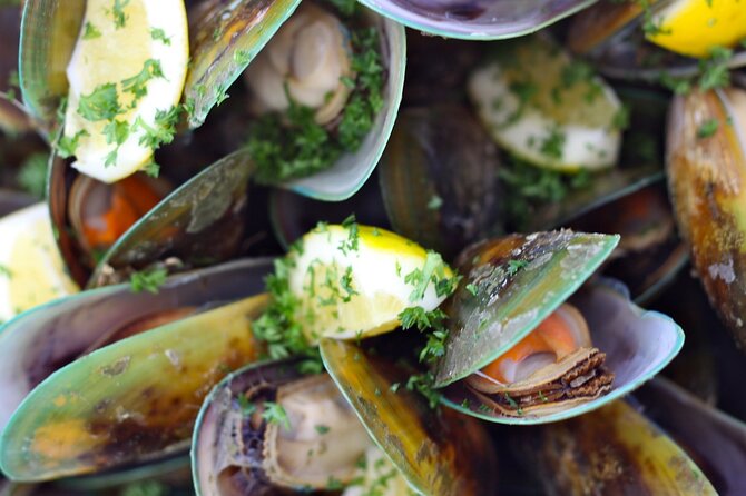 Marlborough Sounds Greenshell Mussel Tasting Cruise - Important Details