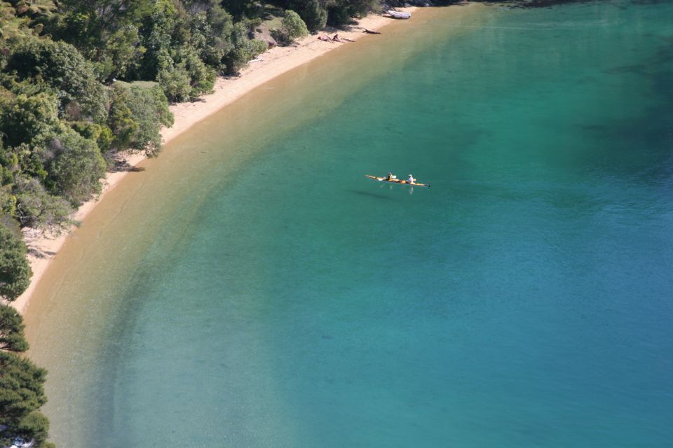 Marlborough Sounds Guided Kayak and Freedom Walk Tour - Tour Highlights