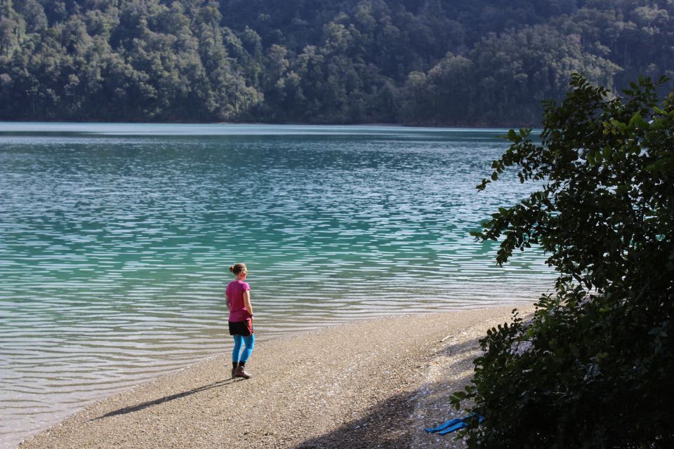 Marlborough Sounds Guided Kayak and Freedom Walk Tour - Tour Itinerary