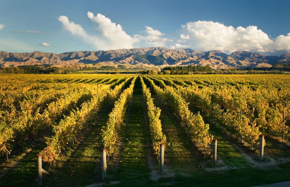 Marlborough: Wineries Visit and Tasting Session - Key Points