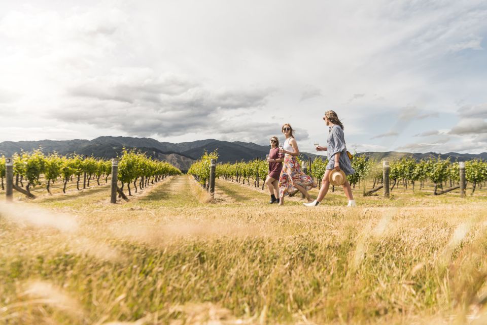 Marlborough: Wineries Visit and Tasting Session - Winery Visit Itinerary