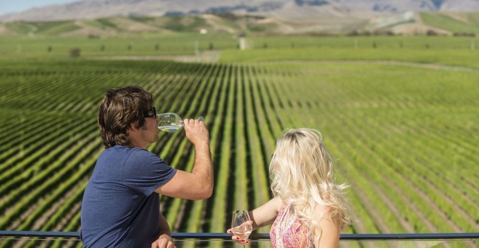 Marlborough: Wineries Visit With Tastings and 2-Course Lunch - Customer Reviews