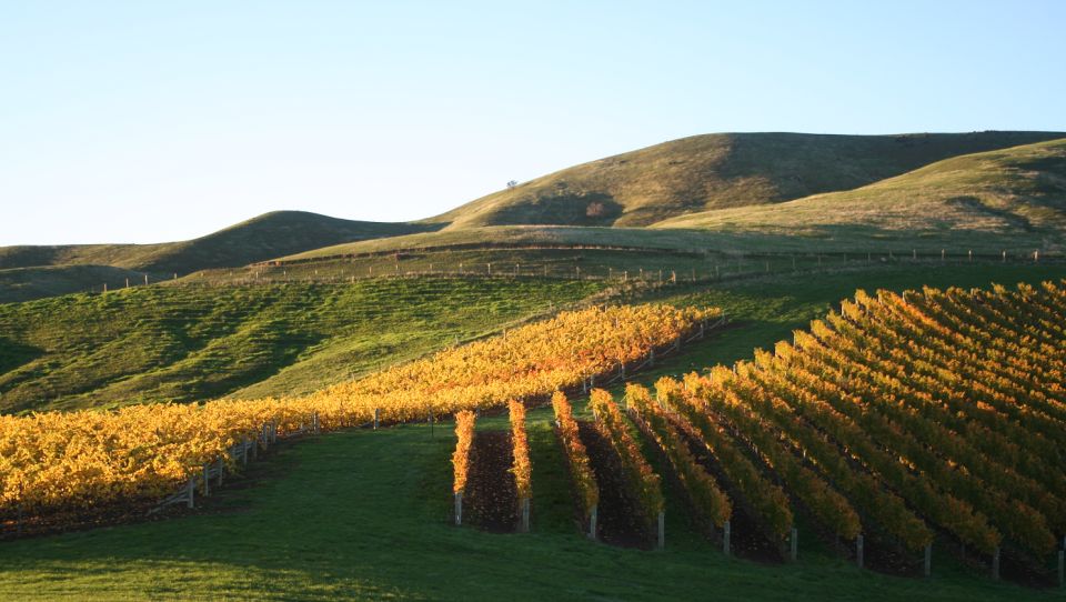 Marlborough: Wineries Visit With Tastings and 2-Course Lunch - Additional Logistics