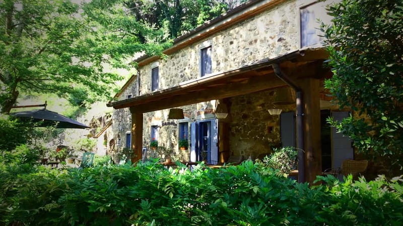 Marliana: Tuscan Olive Oil Tour with Dinner - Who Should Consider This Tour?