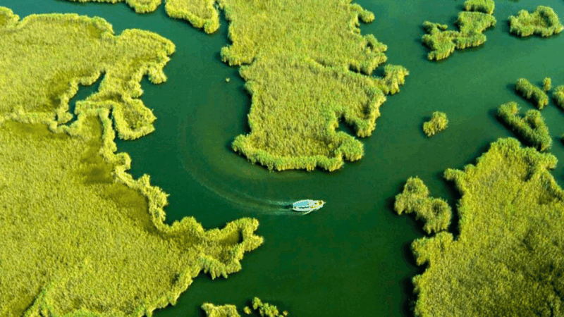 Marmaris: Dalyan, Turtle Beach, and Kizilkum Bay Boat Tour - Key Points