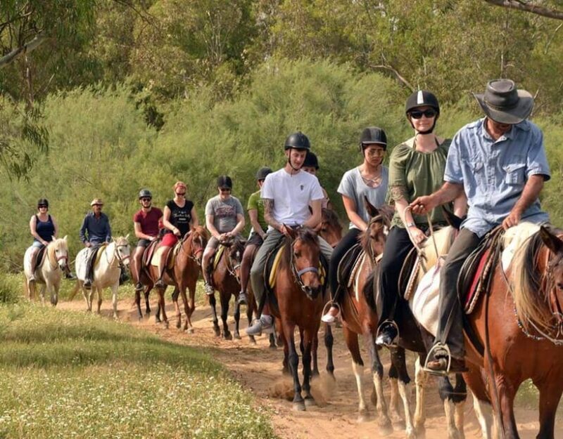 Marmaris: Horse Riding Experience with Hotel Transfers - FAQ