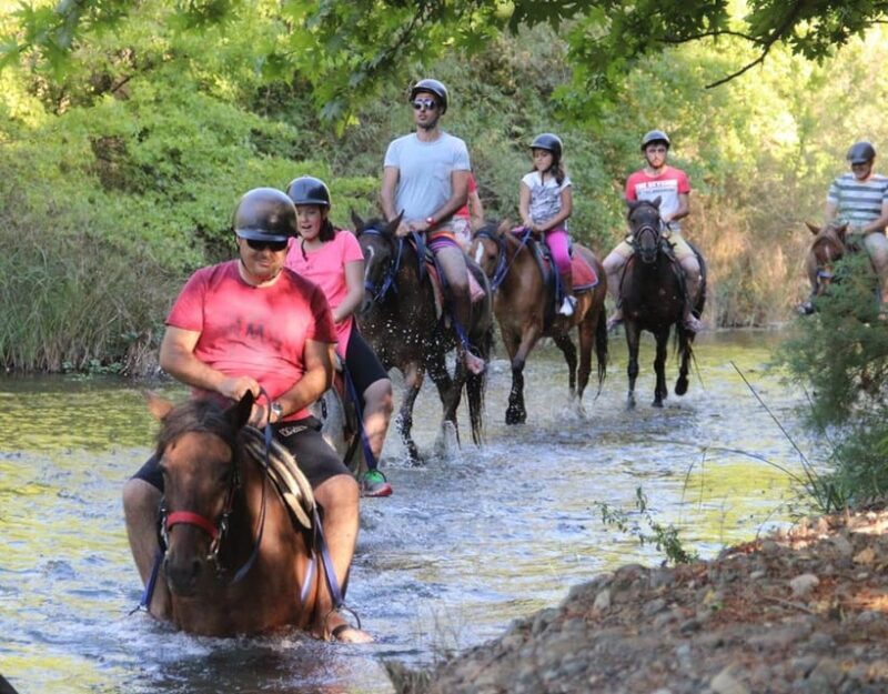 Marmaris: Horse Riding Experience with Hotel Transfers - The Sum Up