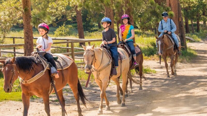 Marmaris: Horse Riding Experience with Transfer - Key Points