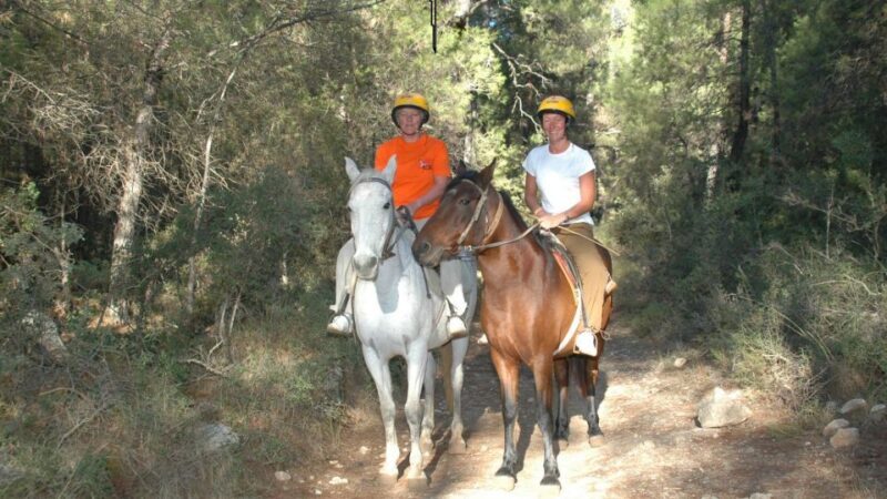 Marmaris: Horse Riding Experience with Transfer - What to Expect from the Marmaris Horseback Riding Tour