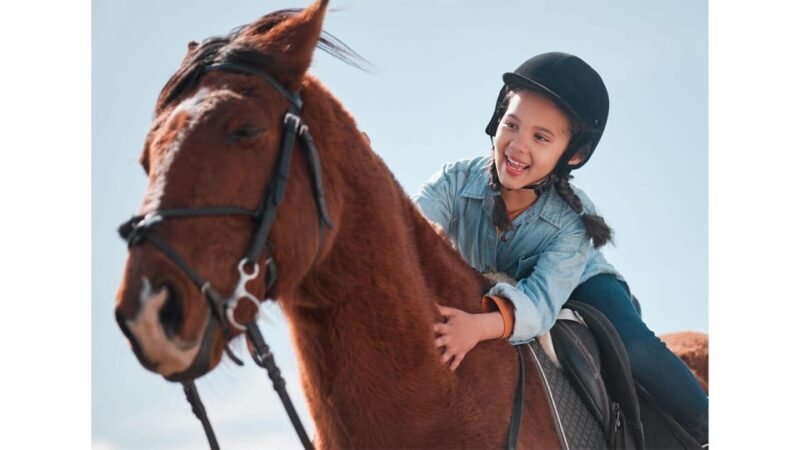 Marmaris: Horse Riding Experience with Transfer - The Practicalities: Logistics & Tips