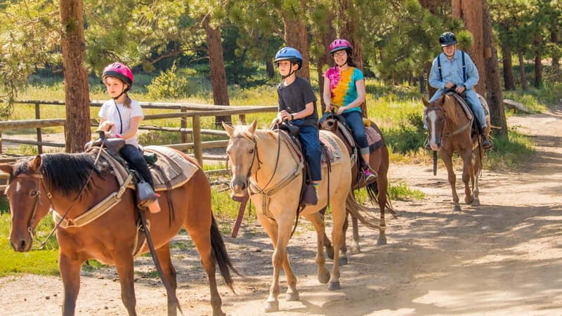 Marmaris: Horse Riding & Safari with Hotel Transfer - A Practical Guide to the Marmaris Horse Safari