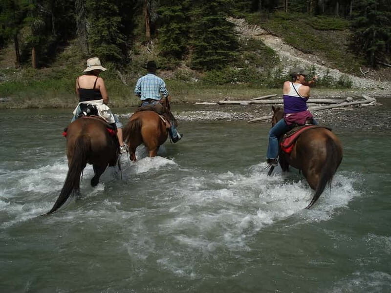 Marmaris: Horse Riding & Safari with Hotel Transfer - Final Thoughts