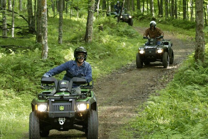 Marmaris Quad Bike, Buggy Safari and Family Buggy Experience - The Sum Up: Is It Worth It?