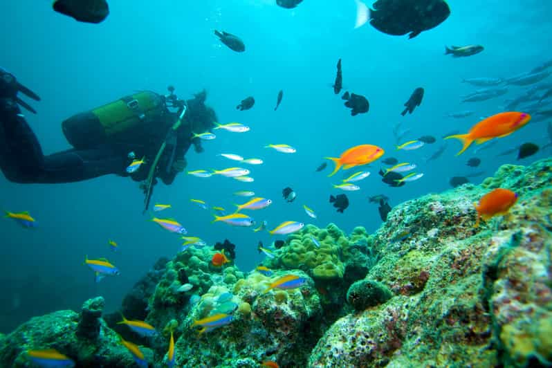 Marmaris: Scuba Diving with a Qualified Instructor - What to Expect During the Dives