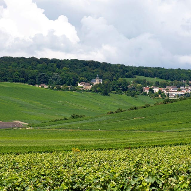 Marne: Champagne Region Private Day Tour With Lunch - Itinerary Highlights