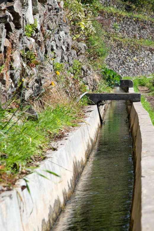Maroços Madeira Island Levada Walk - Who Should Consider This Tour?
