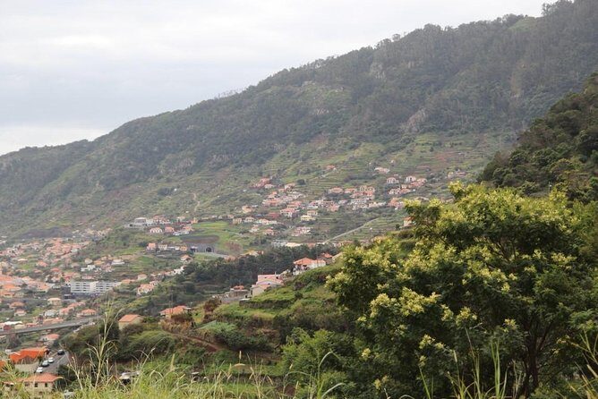 Maroços - Vale das Mimosas (Half Day Walk) - A Close Look at the Tour Experience