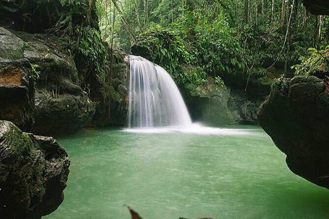 Maroon and Waterfall Adventure from Treasure Beach Jamaica - The Natural Finale: Breadnut Valley Estate