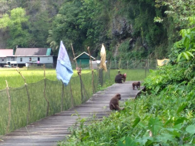 Maros: Walk & Boat Trip Rammang Rammang - Inclusions and Exclusions