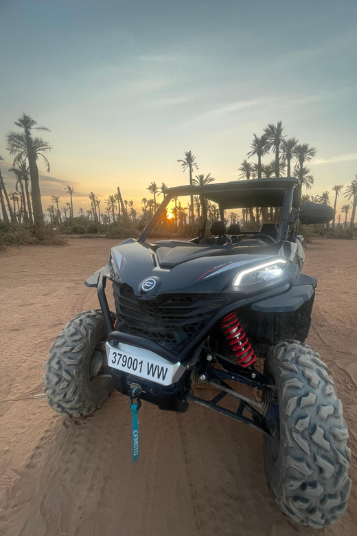 Marrakech: 1000cc 4-seater Buggy Ride in the Palm Grove - Pricing and Booking Details