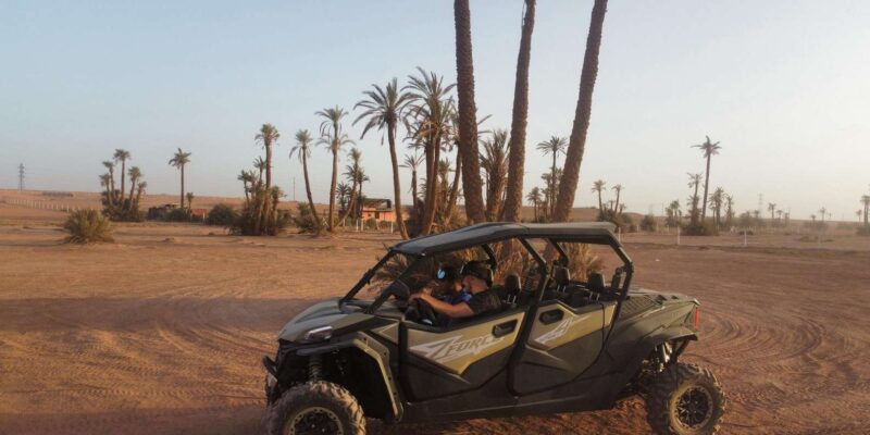 Marrakech: 1000cc 4-seater Buggy Ride in the Palm Grove - The Buggy Ride Experience