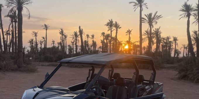 Marrakech: 1000cc 4-seater Buggy Ride in the Palm Grove - Customer Feedback and Ratings