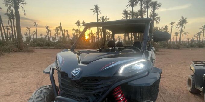 Marrakech: 1000cc 4-seater Buggy Ride in the Palm Grove - Accessibility and Inclusive Options
