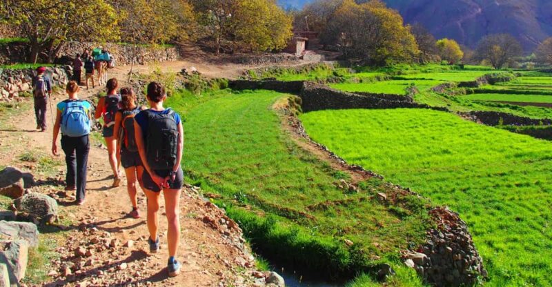Marrakech: 2 Day Trek In Atlas Mountains and Berber Villeges - Day 1 Itinerary