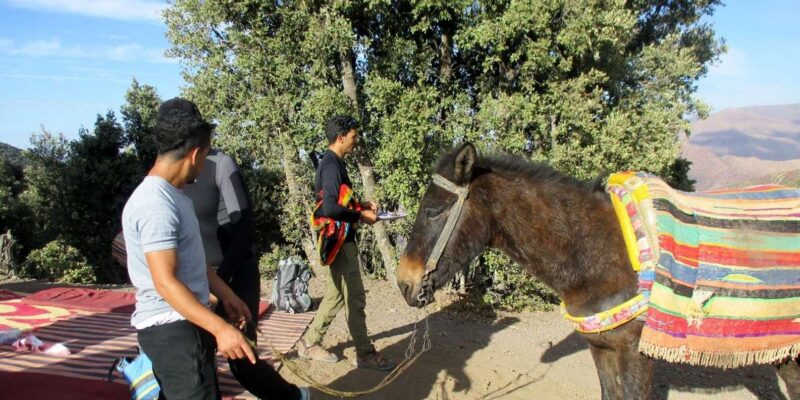 Marrakech: 2 Day Trek In Atlas Mountains and Berber Villeges - Overnight Accommodation