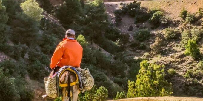 Marrakech: 2 Day Trek In Atlas Mountains and Berber Villeges - Inclusions and Exclusions