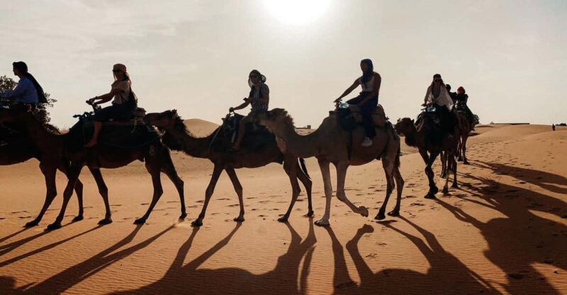 Marrakech 2 Days 1 Night to Zagora Desert With Camel Ride - Good To Know