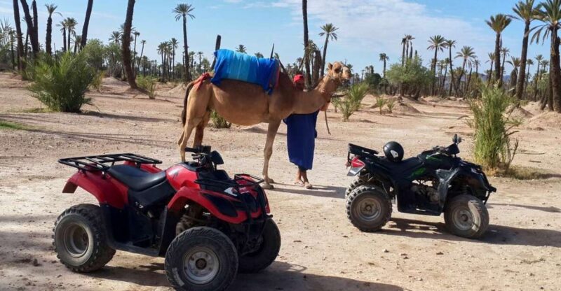 Marrakech: 2-Hour Quad Bike & Camel Ride in Palmeraie - Overview of the Experience