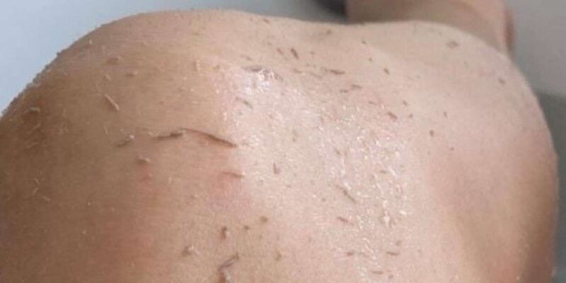 Marrakech: 2-Hour Traditional Moroccan Hammam Experience - Indulge in Traditional Treatments