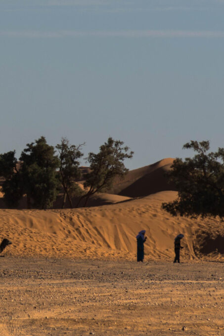 Marrakech: 3-Day Desert Tour to Merzouga With Camel Trek - Booking and Availability Details