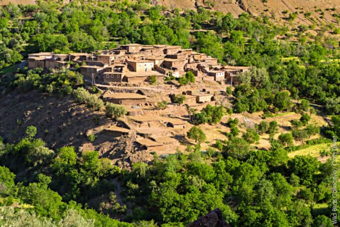 Marrakech: 3 Day High Atlas Mountains and Three Valleys Trek - Frequently Asked Questions