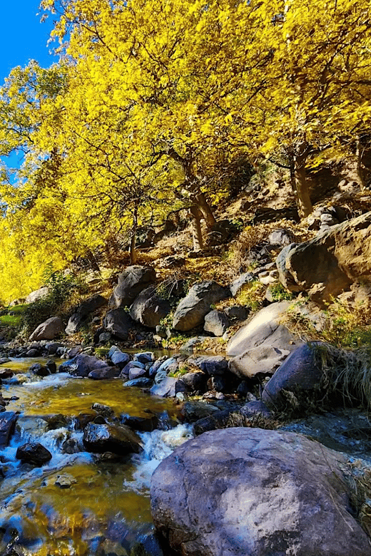 Marrakech: 3-Day High Atlas Mountains Hiking Tour - Good To Know