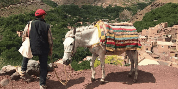 Marrakech: 3-Day High Atlas Mountains Hiking Tour - Important Information