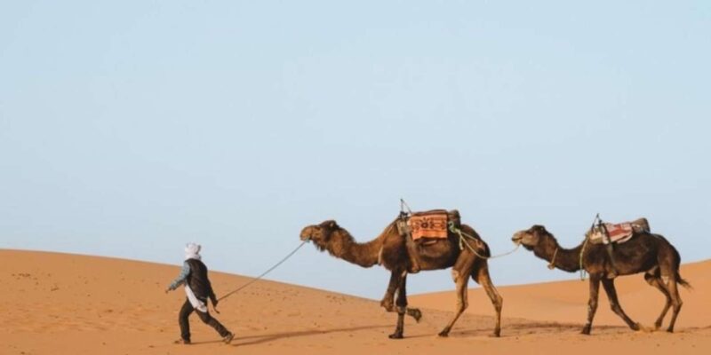 Marrakech: 3-Day Merzouga and Sahara Desert Tour - Exploring Kasbah Ait Ben Haddou
