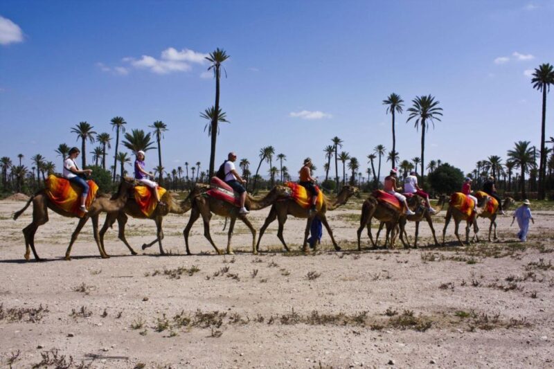 Marrakech 3-Hour Quad Bike & Camel Ride in Palmeraie - Good To Know